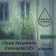  3 hr All Licenses CE - Flood Insurance Concepts (INSCE007FL3)