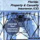 Florida - PROPERTY AND CASUALTY INSURANCE CE (INSCE026FL14)